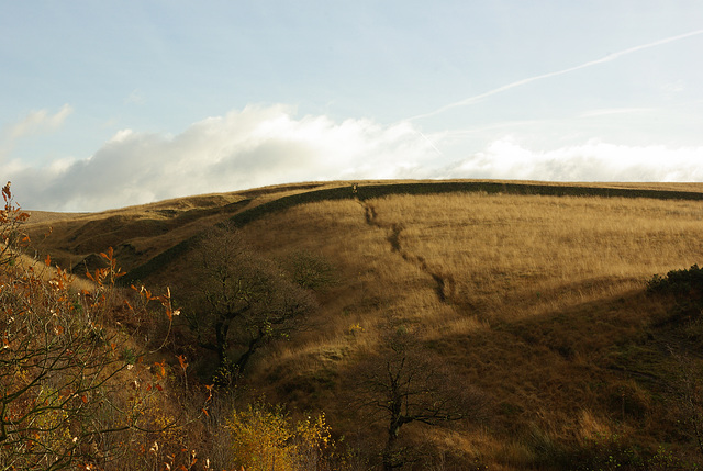 Lyme Park