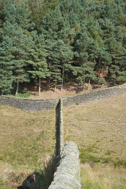 The walls Lyme Park