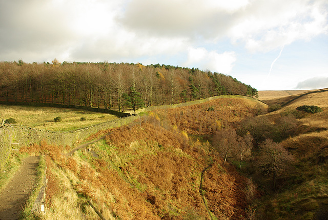 Lyme Park