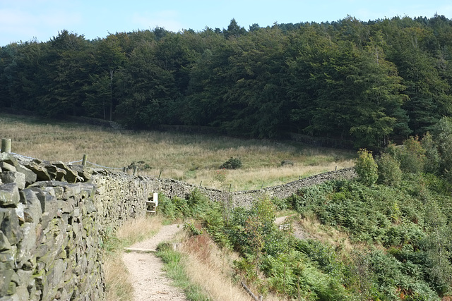 Lyme Park