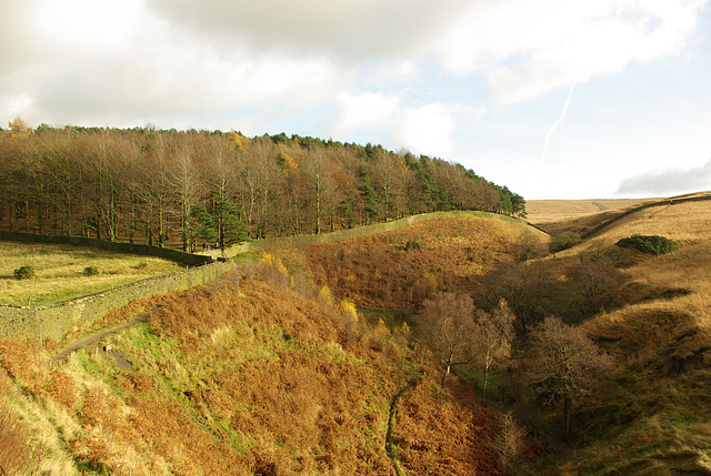 Lyme Park