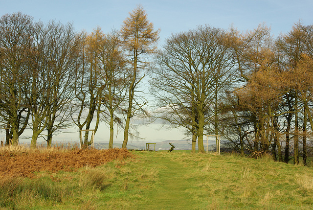 Lyme Park