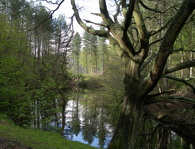 Ladybower Reservoir