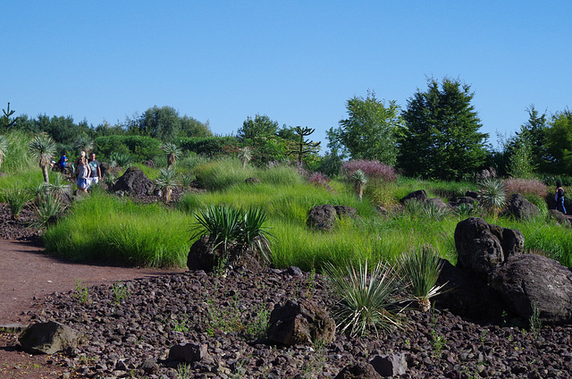 Parc aux oiseaux Villars les Dombes