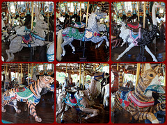 Burlington NC Dentzel Carousel 4-10-14 Collage ~ The Gallopers