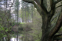 Ladybower Reservoir