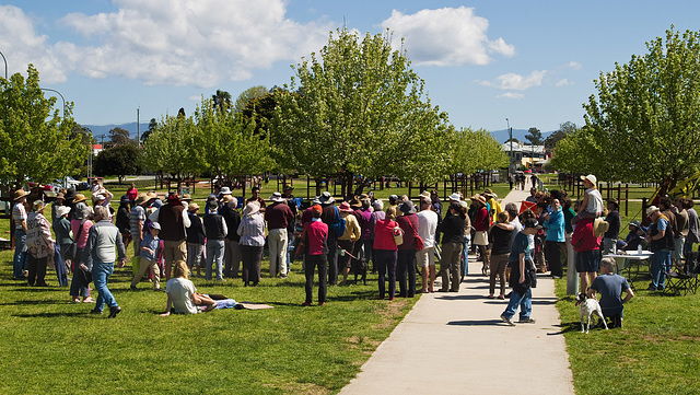 People's Climate Picnic