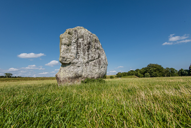 Avebury - 20140806