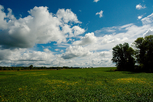 The Sky at the End of Main