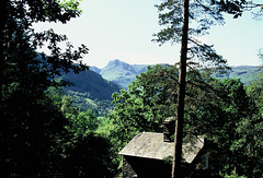 Harrsion Stickle