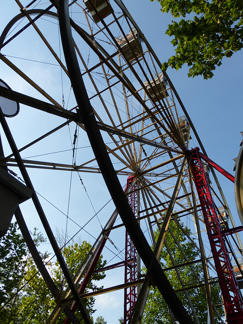 Wonder Wheel