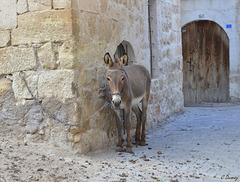 Être au pied du mur