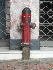 Rex fire hydrant