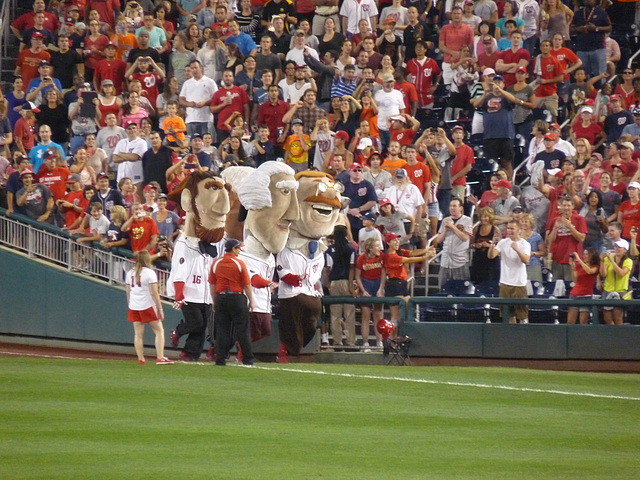 Presidents Race