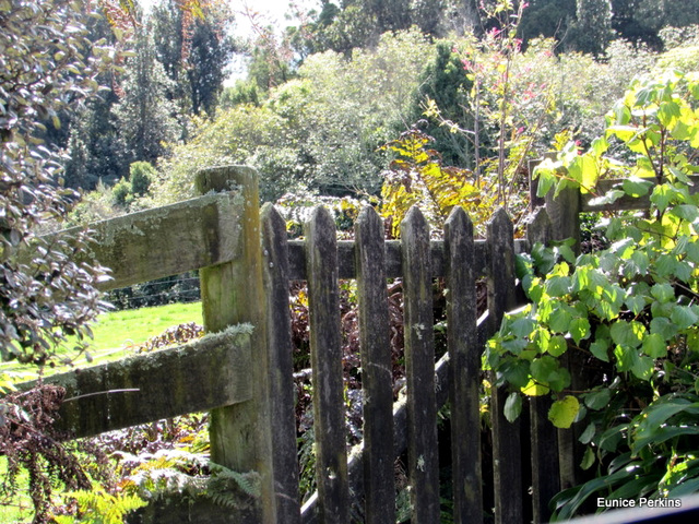 Garden Gate.