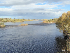 The Spey