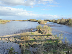 The Spey