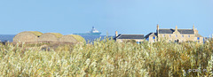 The Tugnet Ice House and Buildings at Spey Bay