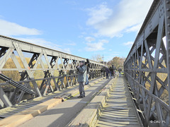 The Rail bridge across the Spey south of Spey Bay full of "Twitchers"