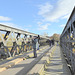 The Rail bridge across the Spey south of Spey Bay full of "Twitchers"