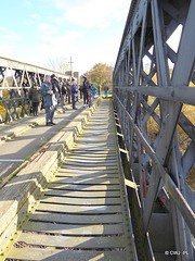 The old rail bridge across the Spey, full of "twitchers"