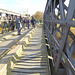 The old rail bridge across the Spey, full of "twitchers"