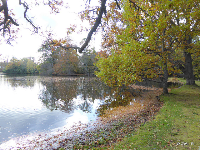 Gordon Castle Lake