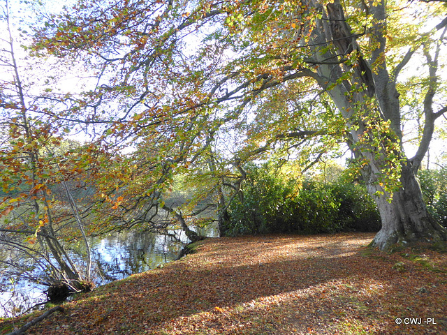 By Gordon Castle Lake