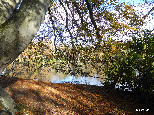 By Gordon Castle Lake