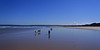 four dogs at Sandy Point