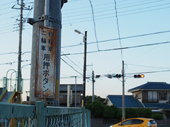 Pedestrian activated light