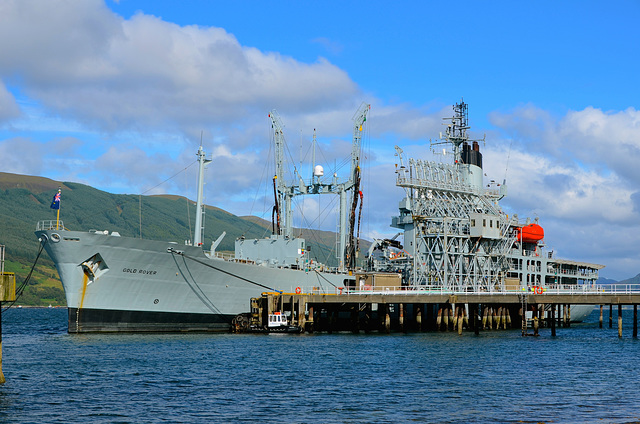 RFA GOLD ROVER