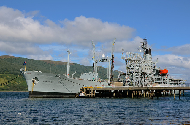 RFA GOLD ROVER