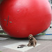 11/50 redball project jour 2