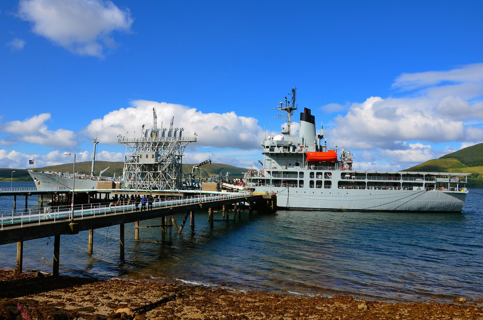 RFA GOLD ROVER