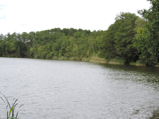 Kleiner Zeschsee