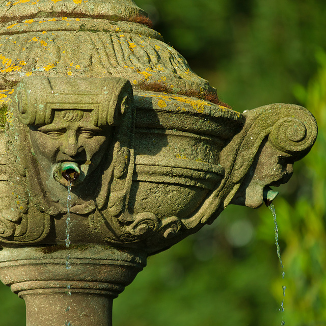 Fuente. Alameda compostelana.