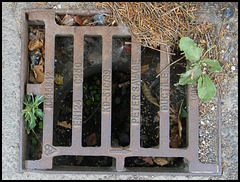 Peter Savage ductile drain cover