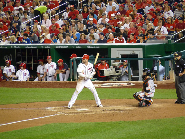 Bryce Harper