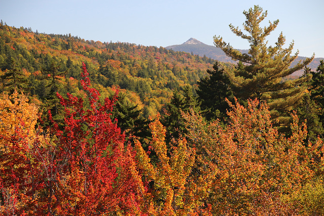 White Mountain National Forest