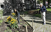 Stoeptuinieren / Sidewalk gardening