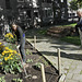 Stoeptuinieren / Sidewalk gardening