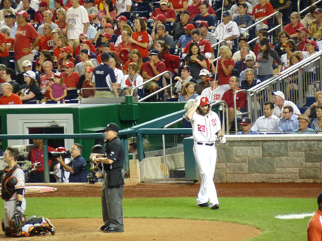 Jayson Werth