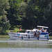 ballade sur les bords de Saône