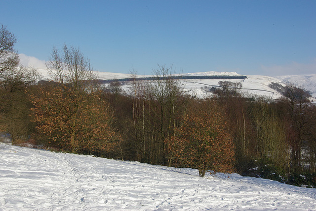 Manor Park, Glossop