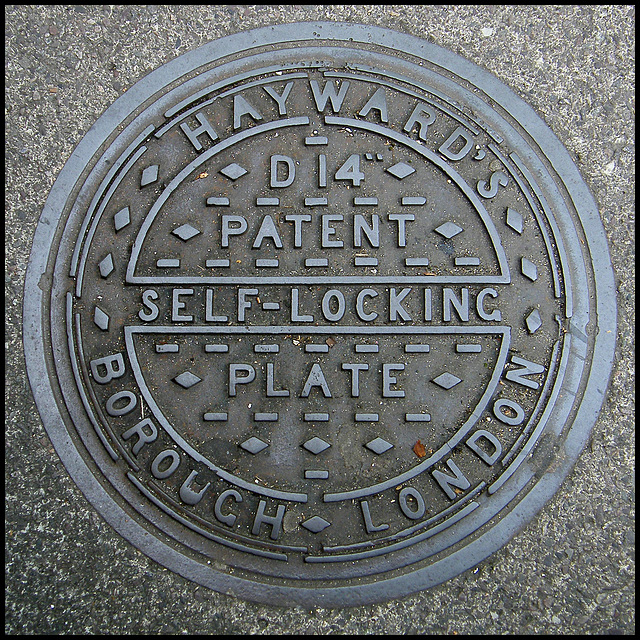 Hayward's D14 self-locking plate