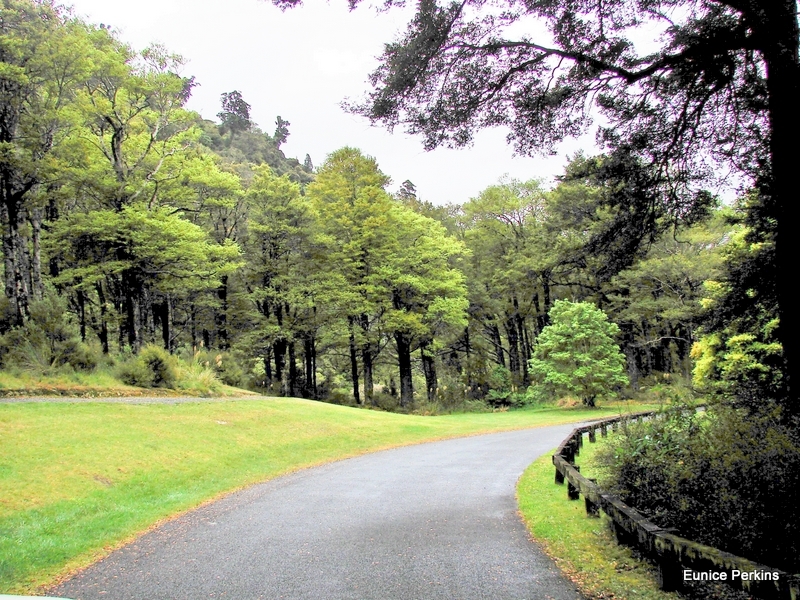 Kaitoki Waterworks Park 3