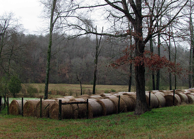 Hay Bales