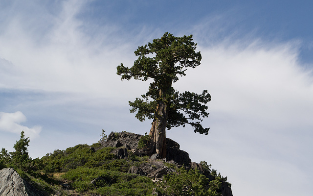 Sierras CA-4 (0308)