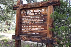 Sierras Ebbett's Pass (0322)